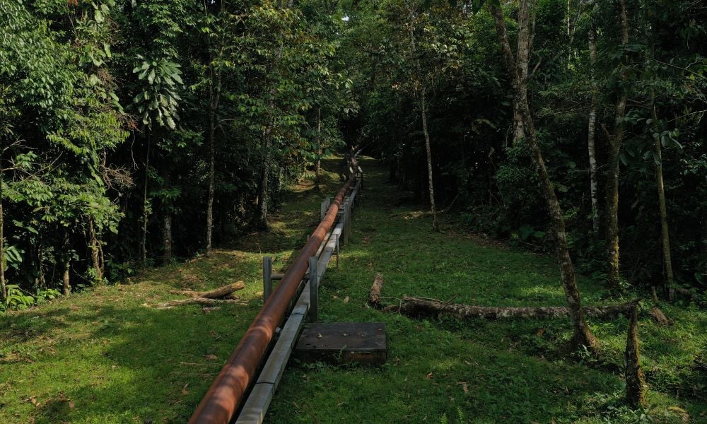 Trans Mountain Fined $292,000 for Environmental Breaches