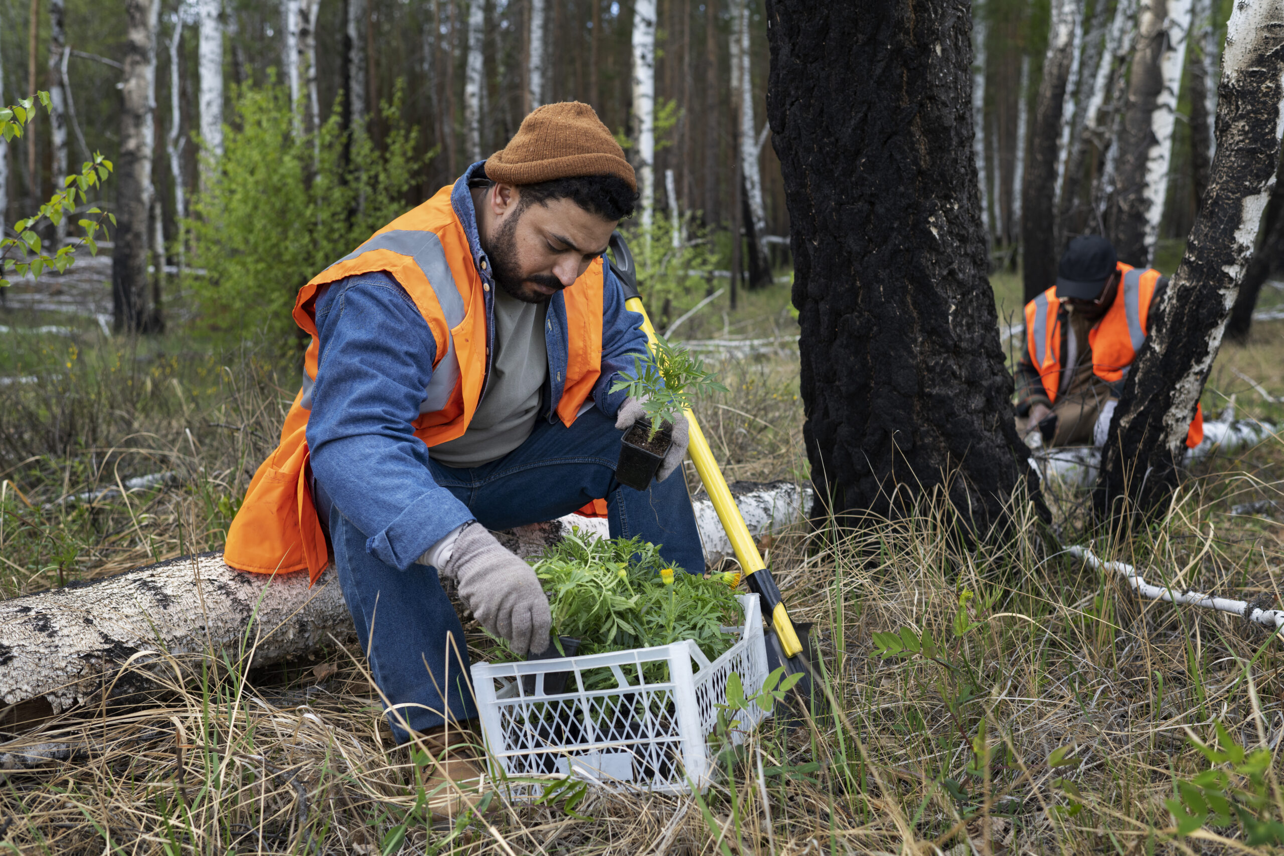 B.C. Forests Minister Ravi Parmar Calls for Equal Support from Ottawa as Ontario Receives $12M Forestry Boost